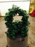 8" Topiary Hoop Ivy